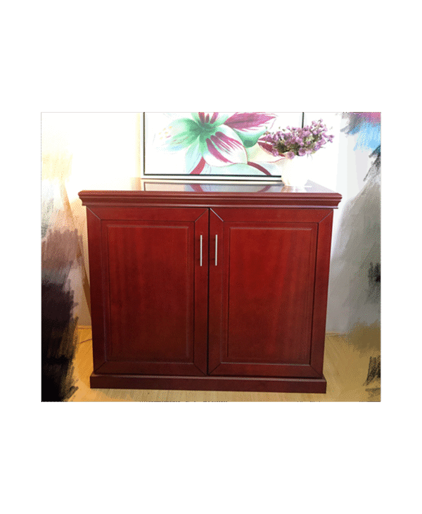 Cabinet - YT-FRD 2 Door Cabinet - YT-FRD