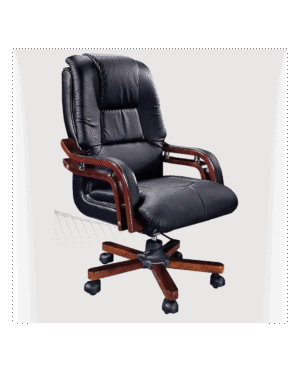 Executive Office Chair -YG-6037